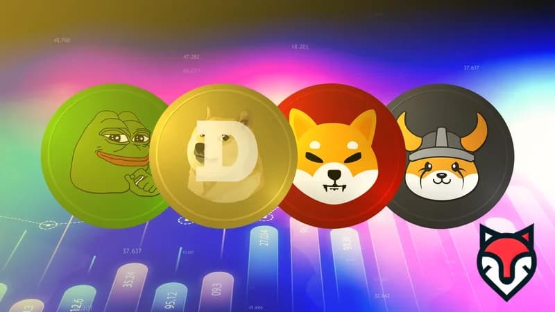 Meme Coins - The Dogecoin and Shiba Inu Phenomenon and Investment Risks