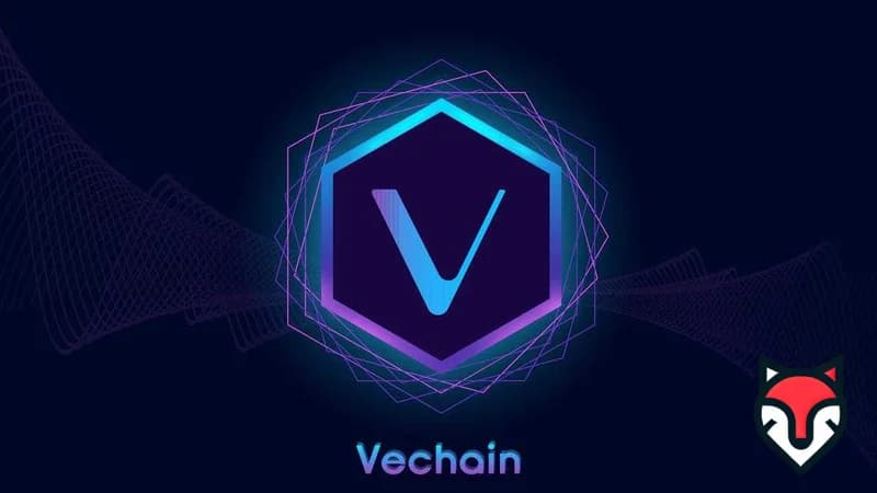 VeChain (VET) in 2025: The Blockchain Powering Supply Chain Management and Beyond