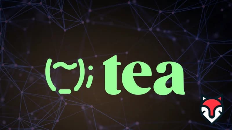Tea Protocol in 2025: Empowering Open-Source Developers with a Thriving Community and No Token Yet
