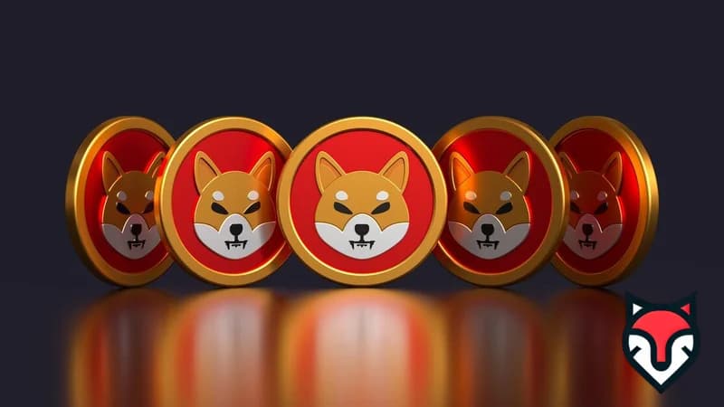 Shiba Inu (SHIB) in 2025: The Meme Coin with a Massive Community Driving Crypto Hype